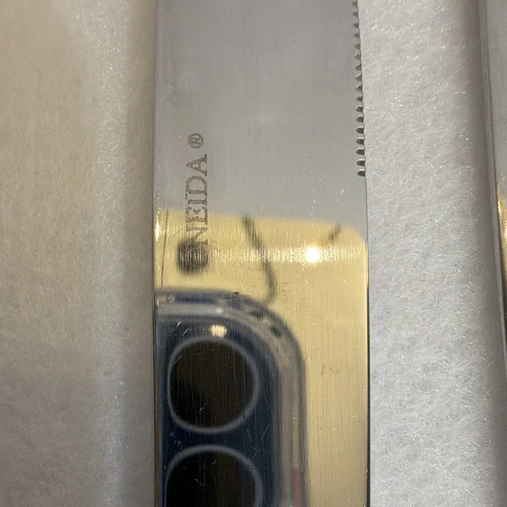 Oneida Stainless Steel Dinner Knives Set of 2 Silver Solid 9 1/2 in